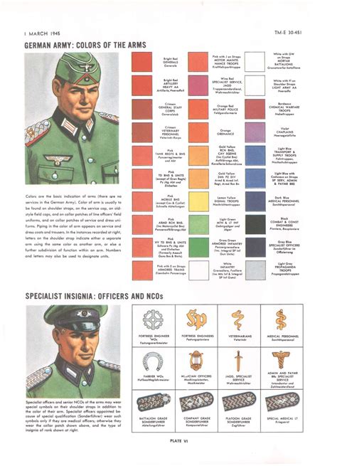 German Army Colors of Arms Specialist Insignia