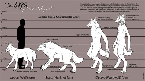 werewolf types | Werewolf drawing, Werewolf aesthetic, Werewolf art