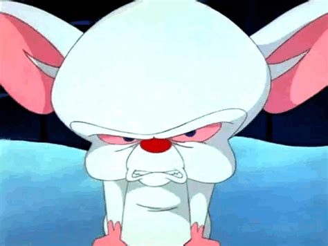 Pinky And The Brain Angry Eye Twitch GIF | GIFDB.com