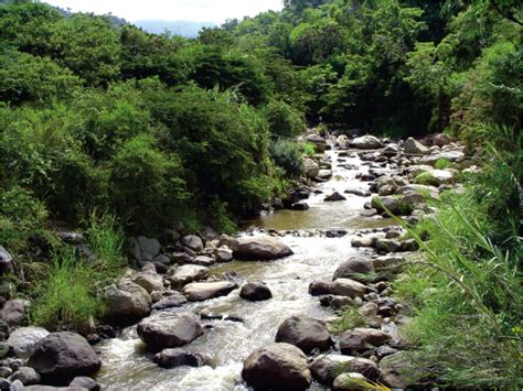 Magdalena River | International Rivers