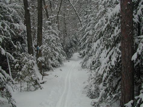 Huron-Manistee National Forests - Home in 2021 | Manistee national ...