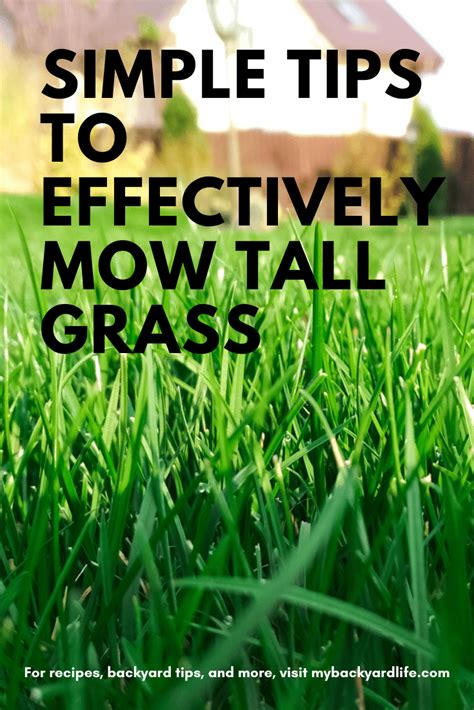 Simple Tips to Effectively Mow Tall Grass - My Backyard Life