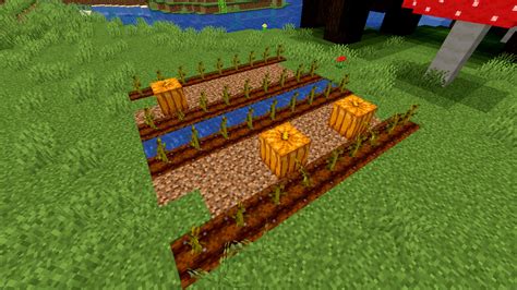 How To Grow Pumpkins in Minecraft? | eSportsLatest