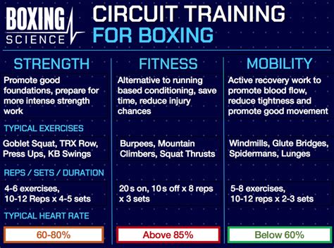 Boxing Strength and Conditioning Circuit - Boxing Science