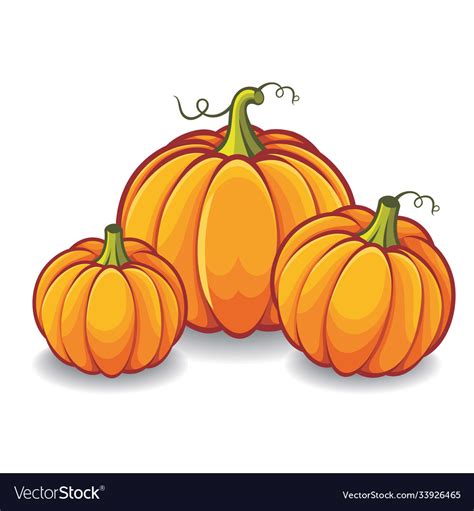 Pumpkin Royalty Free Vector Image - VectorStock