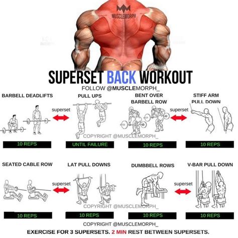 Superset Back Workout | Bodybuilding workouts, Fun workouts, Back workout