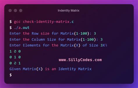 Program to Check Identity Matrix in C Language - SillyCodes