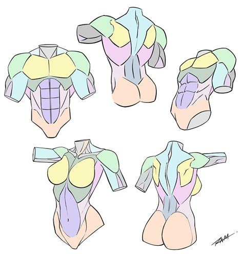 How to Draw the Torso with Simplified Anatomy - Ram Studios Comics