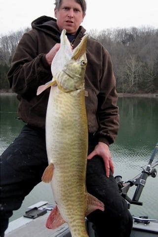 Dale Hollow Lake Fishing Guides - Fishmasters.com