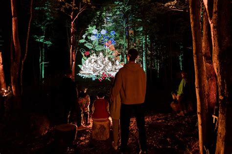 A Lumina Night Walk Is Coming To Brisbane | URBAN LIST BRISBANE