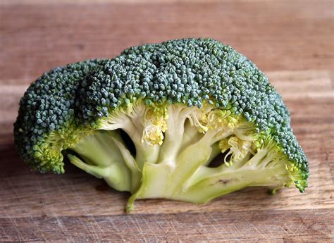 Some of the Proven Health Benefits of Broccoli | Food Shark Marfa