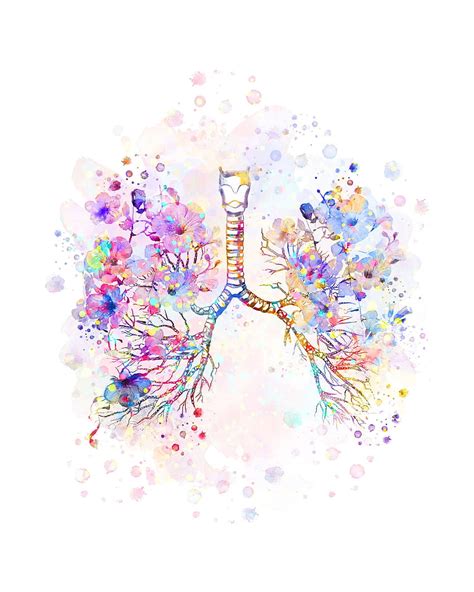 Flower Lungscolorful Floral Lungs Flower Lungs Anatomical Lungs Art | The Best Porn Website