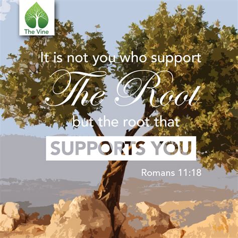 Fruit Happens - Romans 11:13-24 — Vine Bible Study