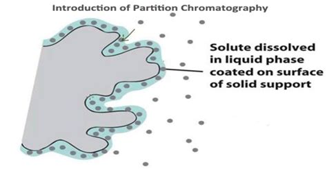 Introduction of Partition Chromatography - Assignment Point