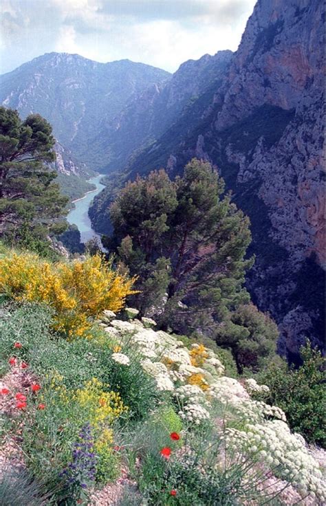 Conservative Home: Verdon Gorge, Provence, France