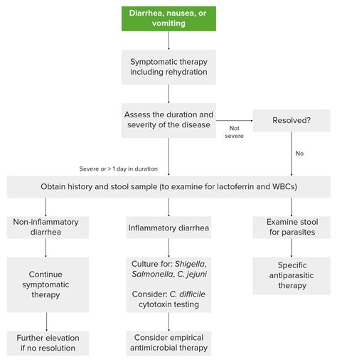 Gastroenteritis - RasinaDaxton