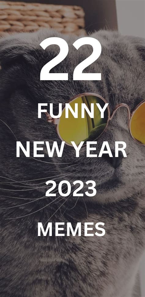 a gray cat wearing sunglasses with the words 22 funny new year memes on it