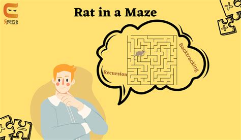 Rat In A Maze - Naukri Code 360