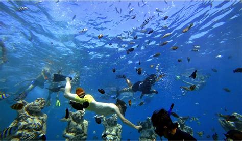 Gili Private Snorkeling Tour - Lombok Day Tour