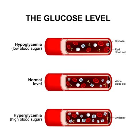 Blood Sugar Levels: How Glucose Levels Affect Your Body? - Breathe Well-Being