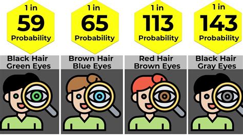 eye color gene probability chart fun facts eye color chart facts - eye color probability chart ...