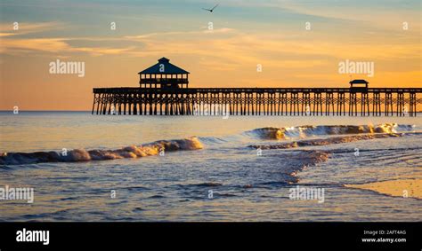 Folly Beach is a city located on Folly Island in Charleston County, South Carolina, United ...