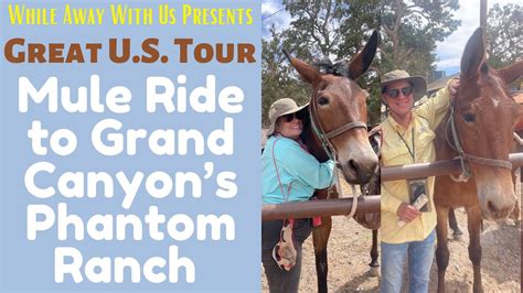 A mule ride to Grand Canyon’s Phantom Ranch - YouTube