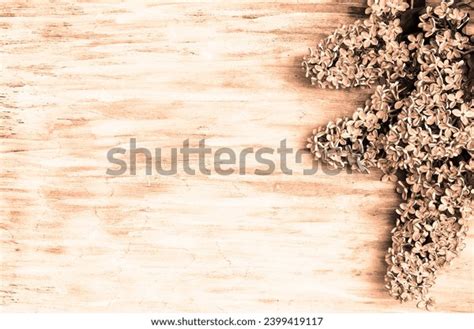 Background Color Year 2024 Peach Fuzz Stock Photo 2399419117 | Shutterstock