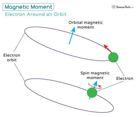 Magnetic Moment: Definition, Formula, and Examples