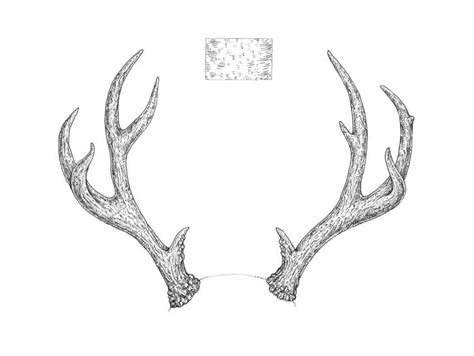 How to Draw Antlers Step by Step