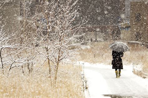 6 Reasons to Love the High Line in Winter | The High Line