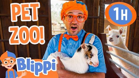 Blippi Visits a Pet Zoo in Brazil! | 1 HOUR OF BLIPPI TOYS! | Animal ...