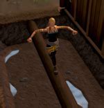 Burthorpe Agility Course - The RuneScape Wiki