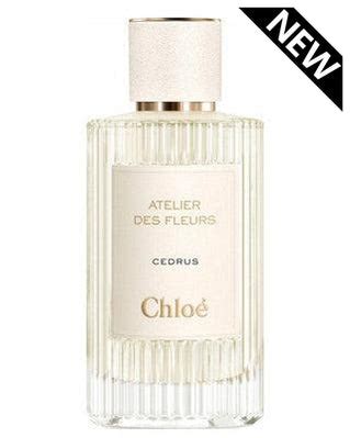 Buy Chloe Perfume Samples & Decants online USA | Fragrances Line ...