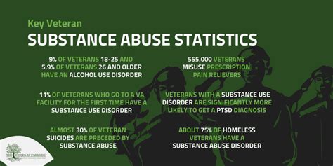 Finding Help for Veterans with Substance Abuse - Woods at Parkside