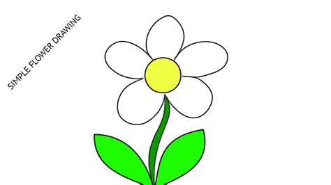 Flowers Images For Drawing With Colour | Best Flower Site