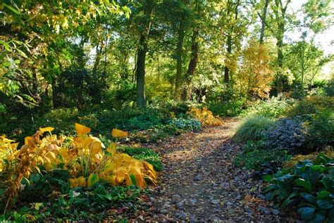 Beth Chatto's Woodland Garden - Beth Chatto Gardens