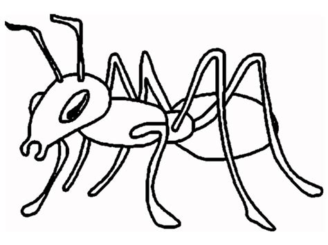 Ant black and white ant clipart - WikiClipArt