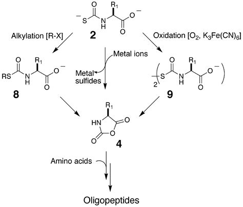 Carbonyl Sulfide-Mediated Prebiotic Formation of Peptides | Science