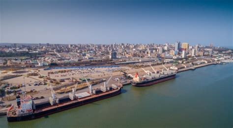 New citrus terminal to open at expanding Maputo Port - Zitamar