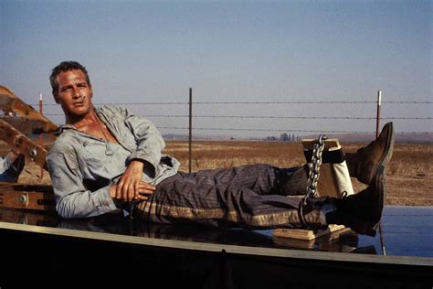 Cool Hand Luke Paul Newman