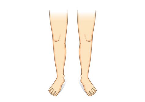 clip art leg 20 free Cliparts | Download images on Clipground 2024