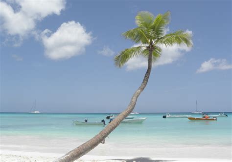 Ile pardisiaque de saona : Plages : Mer : Bateaux : Transport : Arbres ...