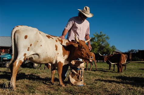 Family Documentary Session on a Texas Longhorn Cattle Ranch - Jeremy ...