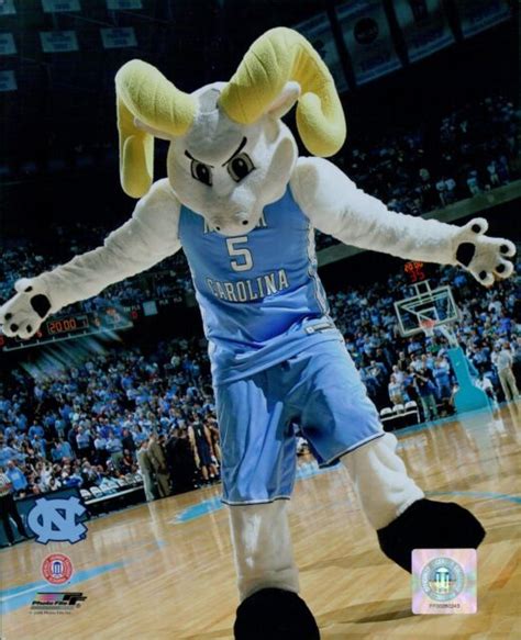 North Carolina Tar Heels Mascot Rameses Licensed NCAA Unsigned Glossy 8x10 Photo | eBay