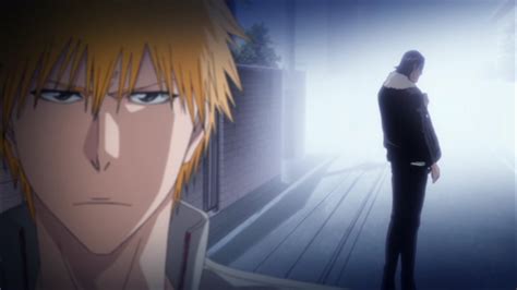 Ichigo & Ginjo - Bleach Anime Photo (33209812) - Fanpop