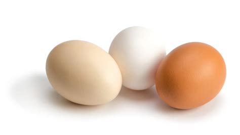 11 Things You Might Not Know About Eggs | Mental Floss