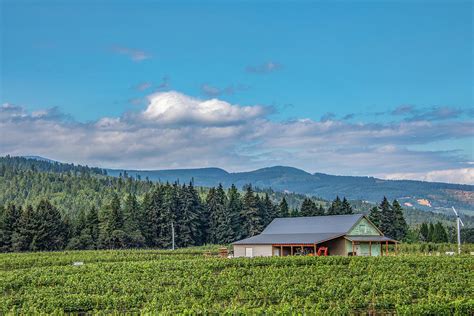 Stave and Stone Winery Photograph by Jean Haynes - Fine Art America