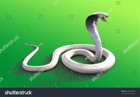 3d Albino King Cobra Snake Isolated Stock Illustration 382630630