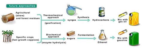 36+ Third Generation Biofuels Pics - Engineering's Advice